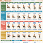28 Tage Stuhl Challenge gegen Bauchfett für mehr Energie und Beweglichkeit.
